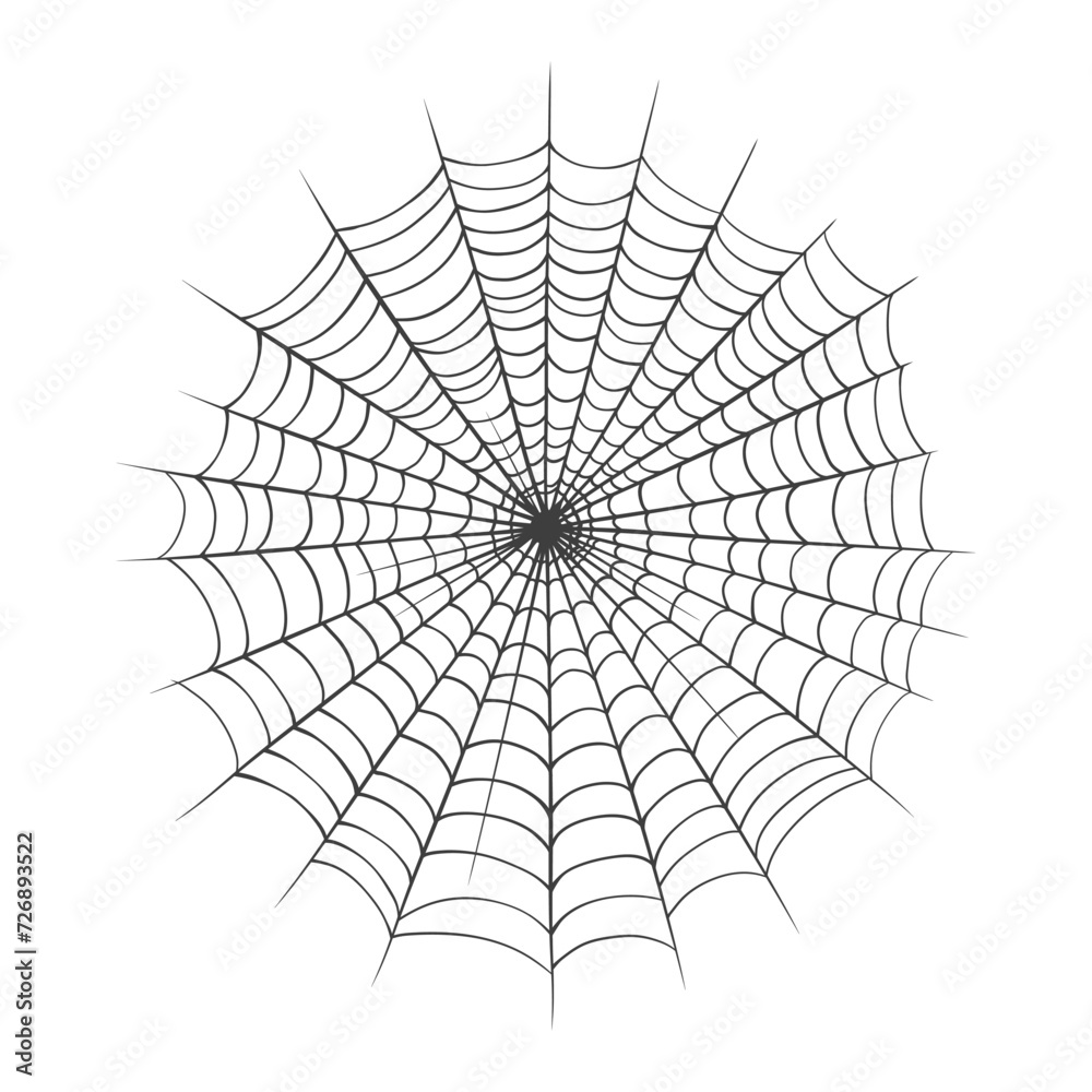 Fototapeta premium Spider web isolated on white background. Vector illustration