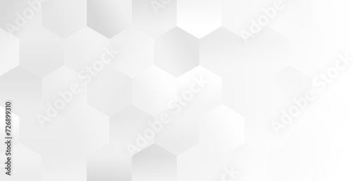 clean and elegant honeycomb pattern white banner design