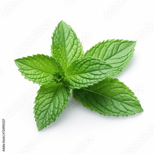 Photo of Mint leaves isolated on white background
