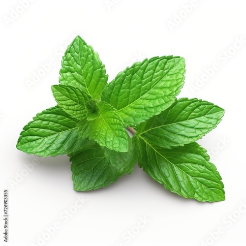 Photo of Mint leaves isolated on white background