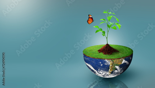 Plant growing on the half sphere of planet earth with green grass on and butterfly. World Ecology, World Environment Day, World Earth Day, and Saving environment Concept. Image furnished by NASA.