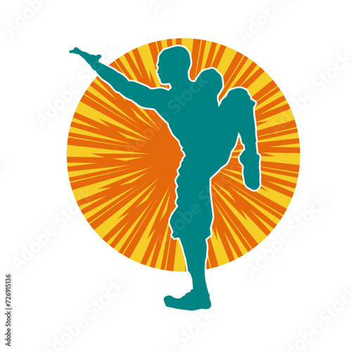 Silhouette of a man in oriental martial art pose. Silhouette of a male in martial art move.