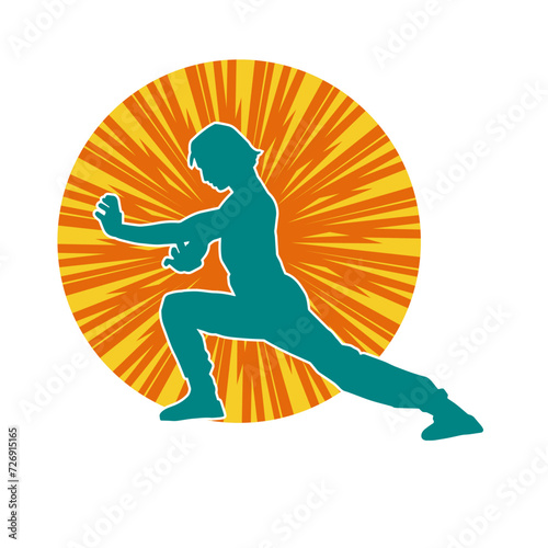 Silhouette of a man in oriental martial art pose. Silhouette of a male in martial art move.