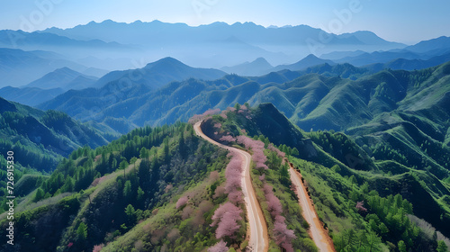 A beautiful pink sakura flower tree landscape with a dirt road going through it.