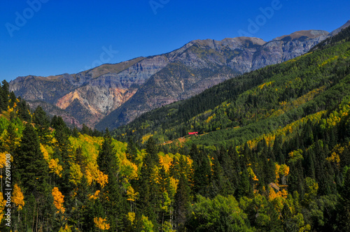 Early autumn foliage above Canyon Creek, Camp Bird road, Ouray, San Juan Mountains, southwest Colorado, USA. photo