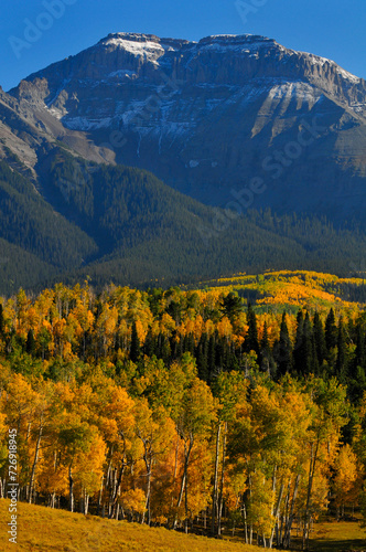 Late afternoon light on fall colors up the slopes of Whitehouse Mountain on the Sneffels Range of the San Juan mountains, as seen from a country road near Ridgway, Colorado, USA. photo