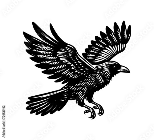 raven black and white illustration logo vector	 photo