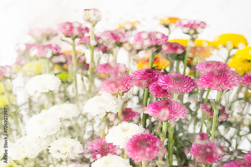 Colourful flower arrangement. Blossoms springtime background.