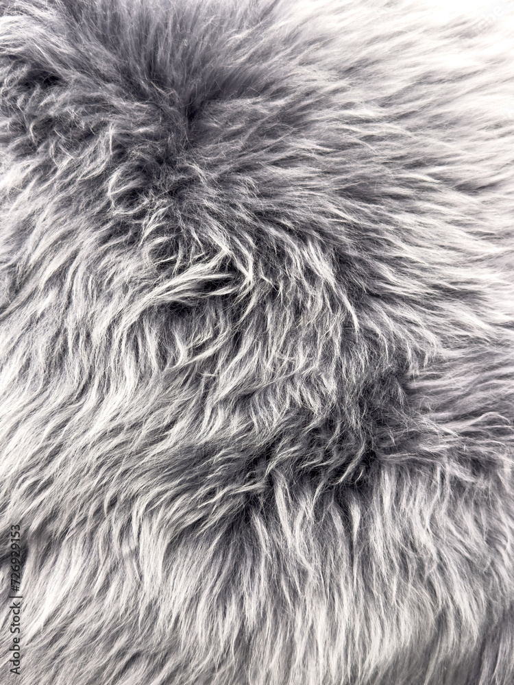 Gray fur as an abstract background. Texture