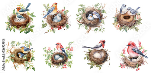 set of watercolor birds, Sticker, Ornament, illustration, PNG; generated ai