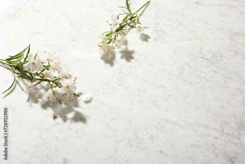 a beautiful spring flower against a white marble table background. top view. An empty space for display cosmetic products, food and props.
