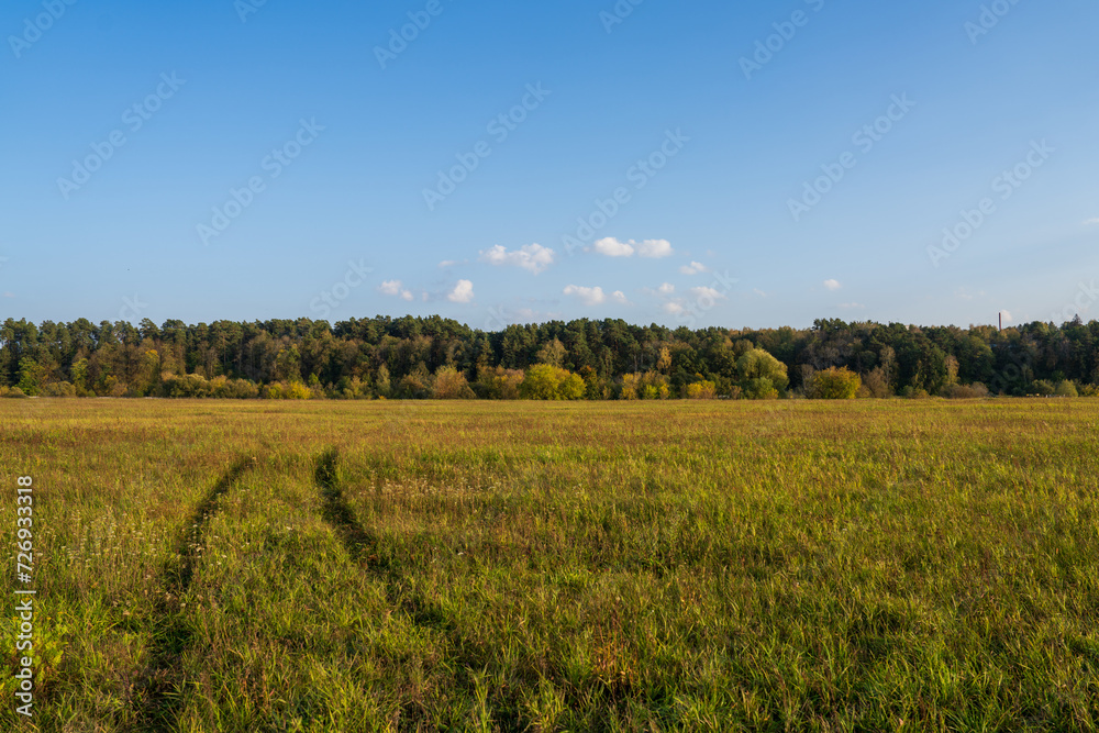 Autumn landscape at sunset on a field. Trees on the horizon.