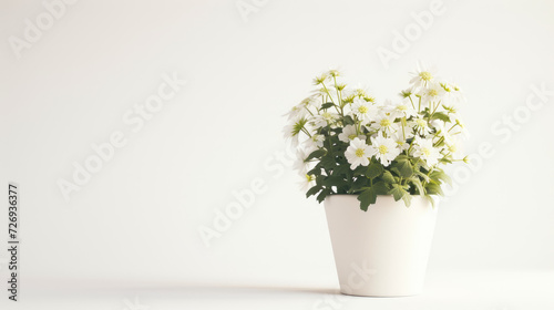 minimalist flower pot decoration, white background, Ai Generated Images