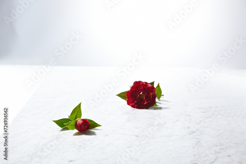 a red rose against a white marble table background. An empty space for display cosmetic products, food and props.