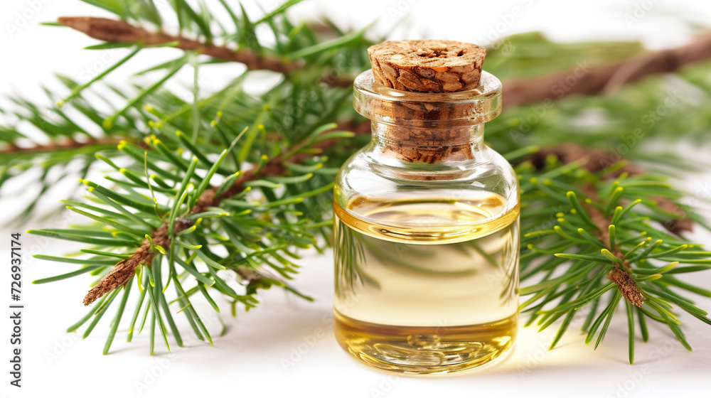 Cedar essential oil in a small bottle on a white background. Cedar essential oil in a small bottle on a white background.