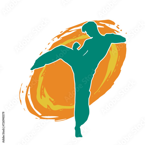 Silhouette of a male doing martial art kick pose. Silhouette of a martial art male doing kicking pose.