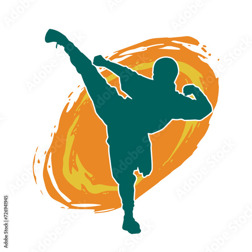 Silhouette of a male doing martial art kick pose. Silhouette of a martial art male doing kicking pose.