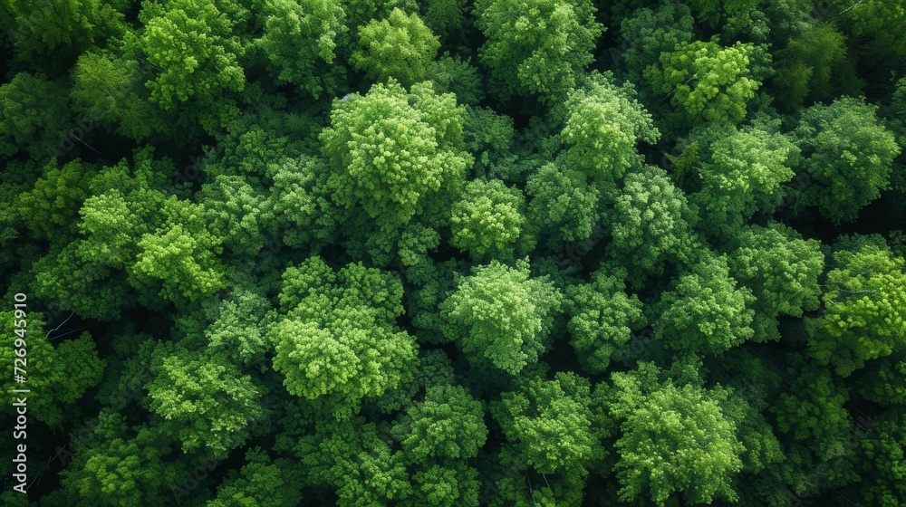 Aerial view of green forest. Top view of green trees. - Generative AI