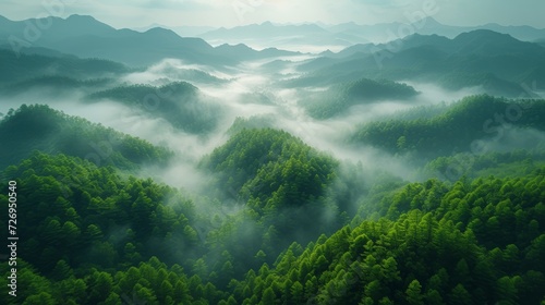 Foggy misty forest landscape in the morning. 3d rendering - Generative AI