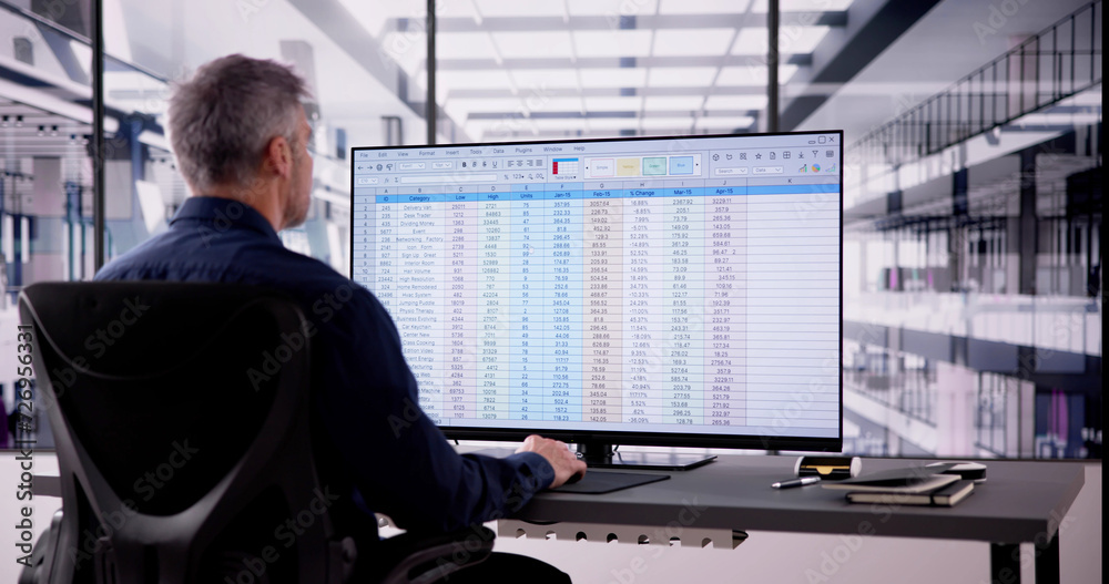 Fototapeta premium Spreadsheet Analyst Employee