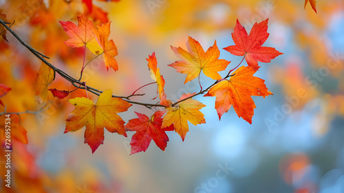Colorful autumn maple leaves on a tree branch  generative ai