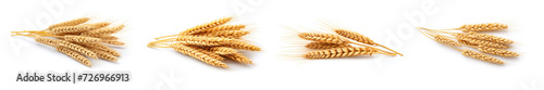 Set of wheat ears isolated on white.