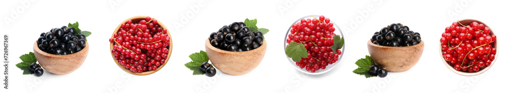 Fresh red and black currants on white background, collection Fresh red and black currants on white background, collection