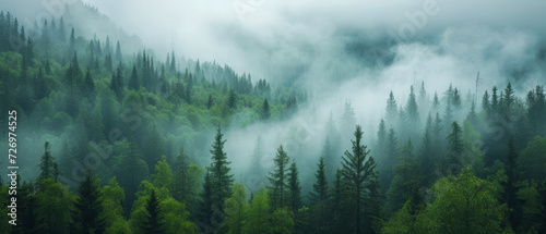 Misty mountain forest in ethereal morning light. 