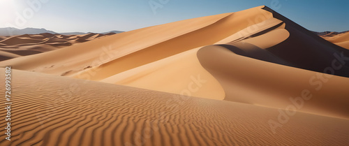 sand dunes in the desert