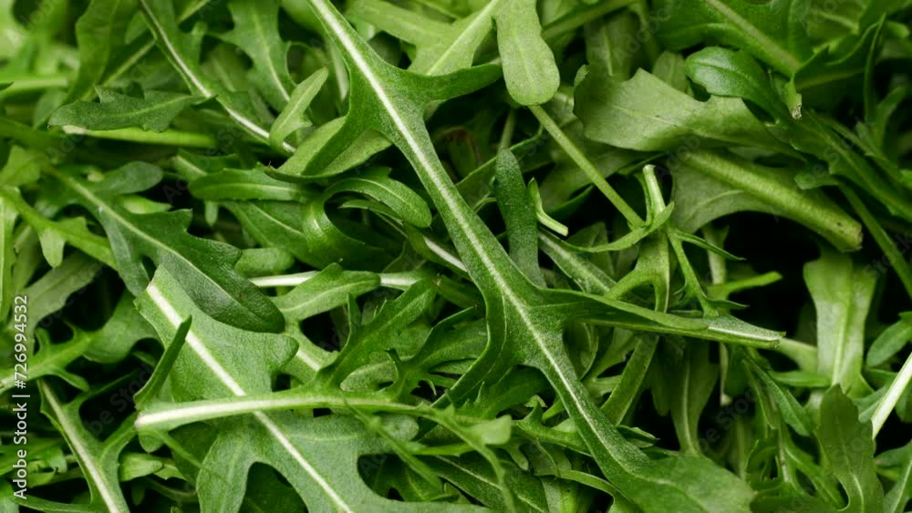 arugula very close-up, healthy eating concept