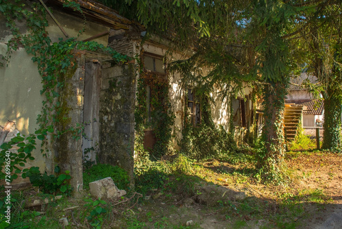 Fototapeta Naklejka Na Ścianę i Meble -  Derelict houses on the edge of Kulen Vakuf Village in the Una National Park. Una-Sana Canton, Federation of Bosnia and Herzegovina. Early September