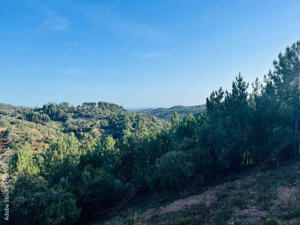 Green trees in the mountains, mountains view, blue sky