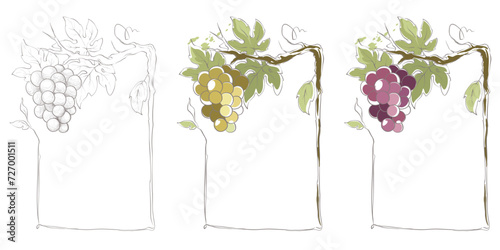 Frames for red and white wine -- set / Vector illustration, floral design element, splash watercolor	