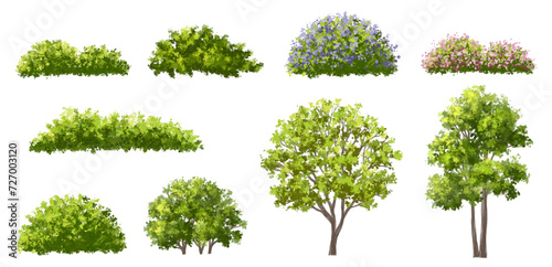 Vector watercolor blooming flower tree or forest side view isolated on white background for landscape and architecture drawing elements for environment or and garden shrub for section  Set of floral b