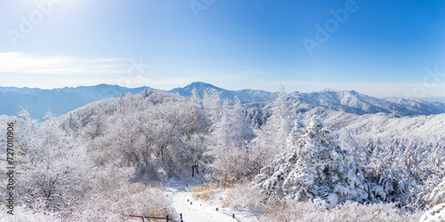 snowscene mountain