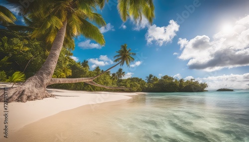 tropical beach, sand, sea, photography backdrop, wedding backdrop, maternity backdrop