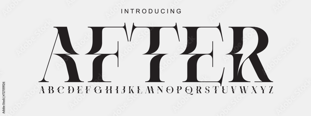 Alphabet font. Typography decorative elegant  lettering for logo. vector illustration. stock image.allFont - obrazy, fototapety, plakaty 