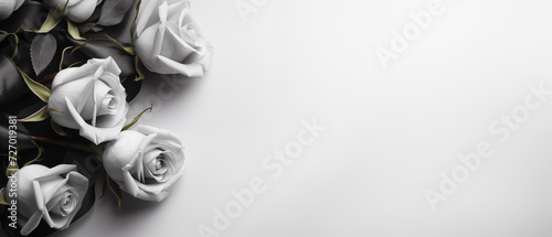 Minimalist Sympathy Condolences card. Roses on a muted light grey background. Funeral concept. Copy space