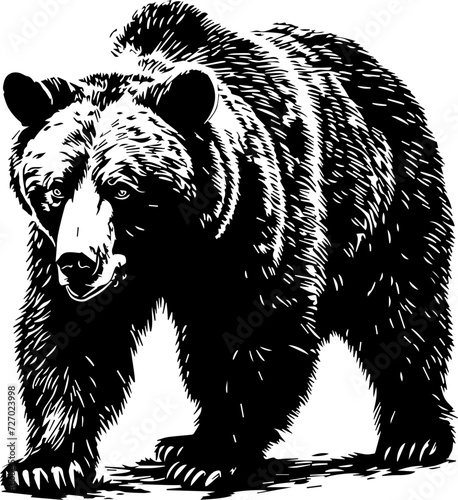 drawing of a grizzly bear, in the style of wood engraving, high detailed, isolated vector illustration