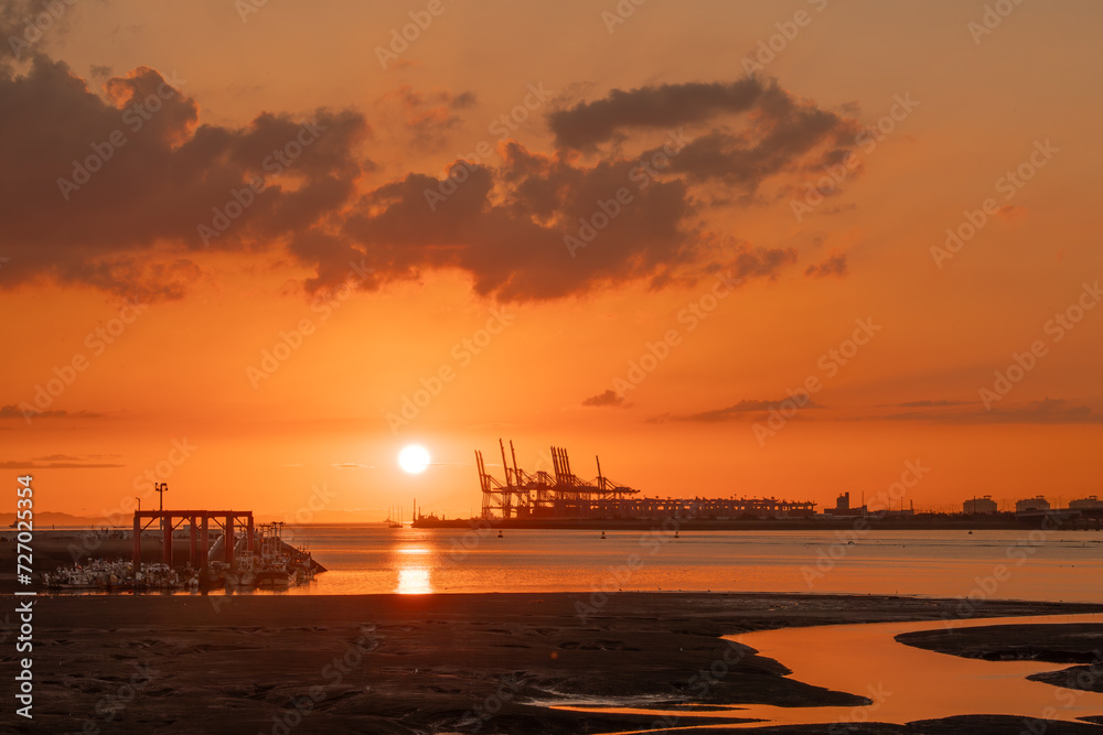 Cranes built to transport containers at sunrise and on the coast
