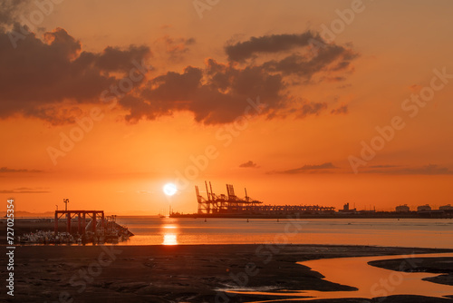 Cranes built to transport containers at sunrise and on the coast 