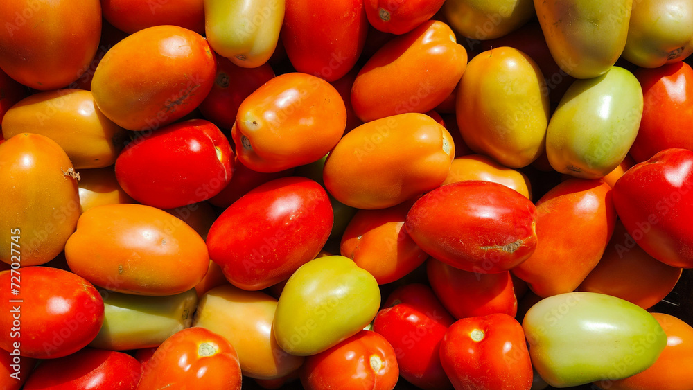 Closeup of a pile of freshly picked tomatoes Closeup of a pile of freshly picked tomatoes