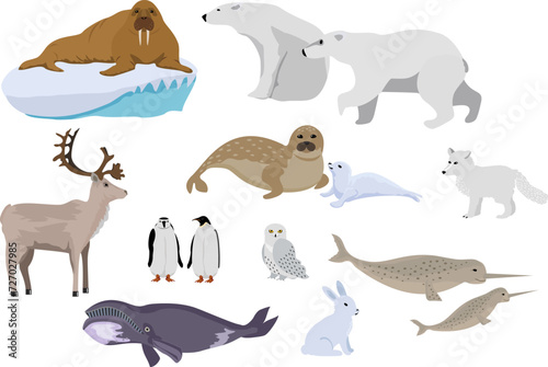 Arctic creature cartoon on blue background. Polar animals. Vector collection of polar animals and birds  including polar bear  seal  walrus  polar fox  reindeer  penguin.