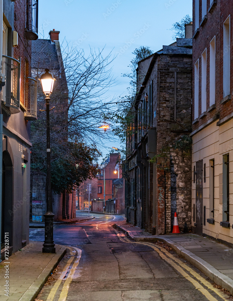 Fototapeta premium street in dublin