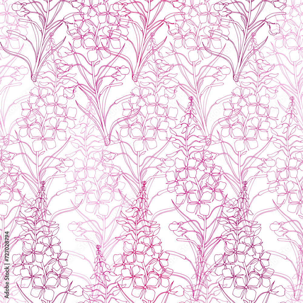 Fireweed. Floral seamless pattern on white. Line art. Vector. Monochrome. Perfect for design templates, wallpaper, wrapping, fabric and textile, print.