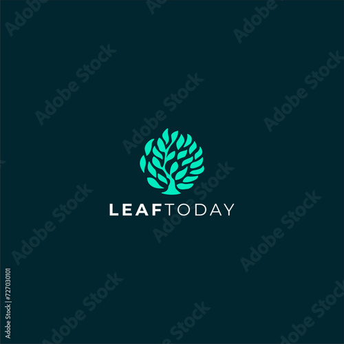 eco friendly logo design leaf logo design natural ecological logo design