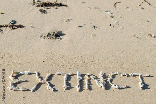 Concept for species extinction or consequences of climate change or legacy. English word "EXTINCT" written with pieces of dead corals on a untidy sandy beach.