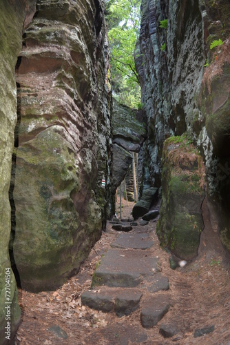 Narrow passage between the high picturesque Prachovske rocks in the Czech Republic photo