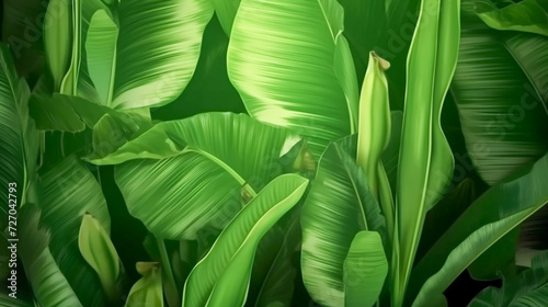 green palm leaves with glowing light in the background. Banner. Banana leaves. Bali style