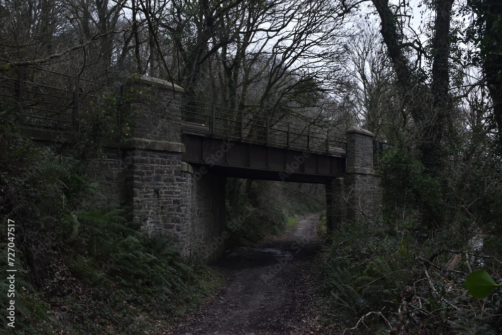a bridge that goes over the tarka trail between torrington and bideford